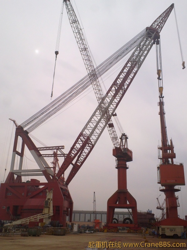 20100907270.jpg
