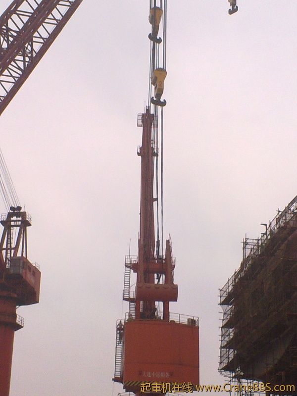 20100907271.jpg