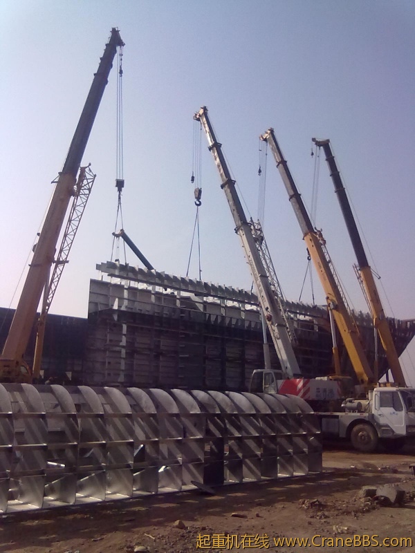 20101228088.jpg