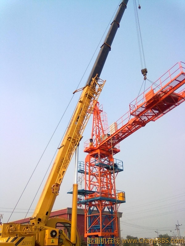 20101028087.jpg