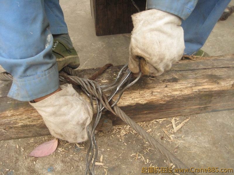 调整大小 IMG_3313.JPG