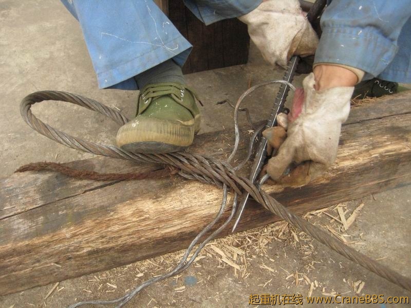 调整大小 IMG_3343.JPG