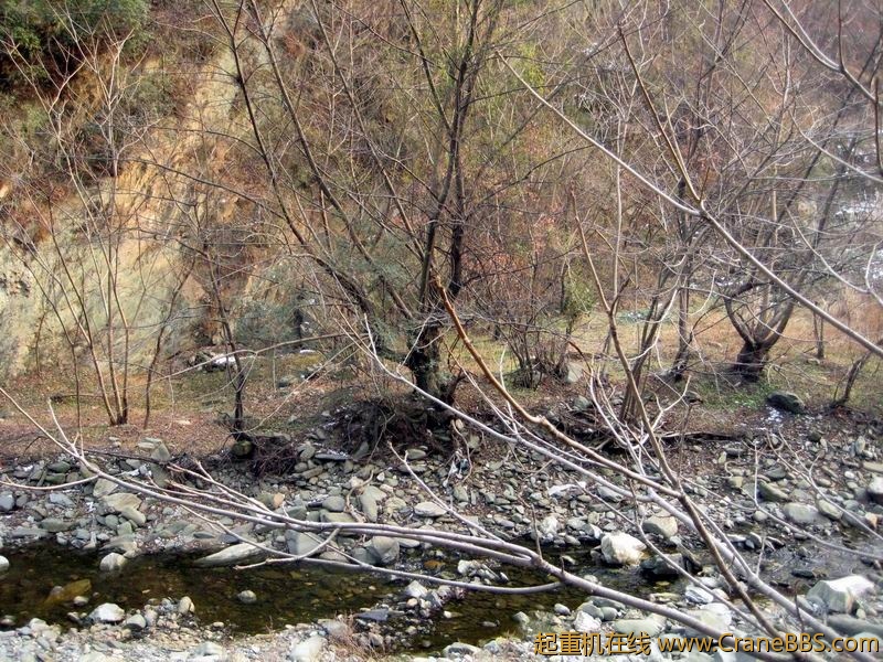 调整大小 IMG_5521.JPG