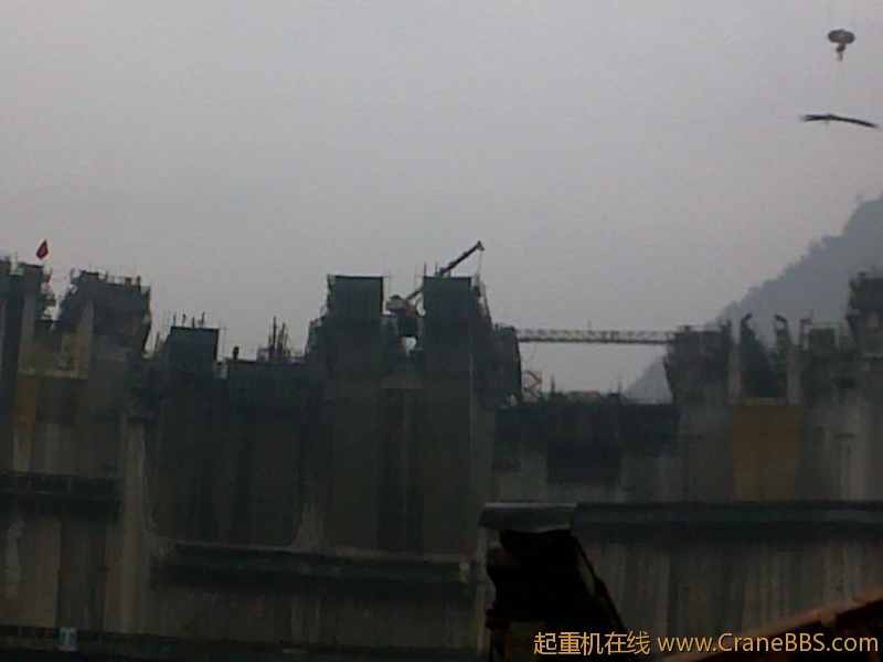 20101114055.jpg