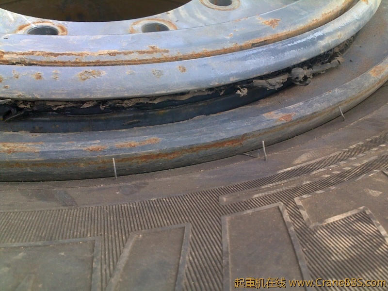 20101104001.jpg