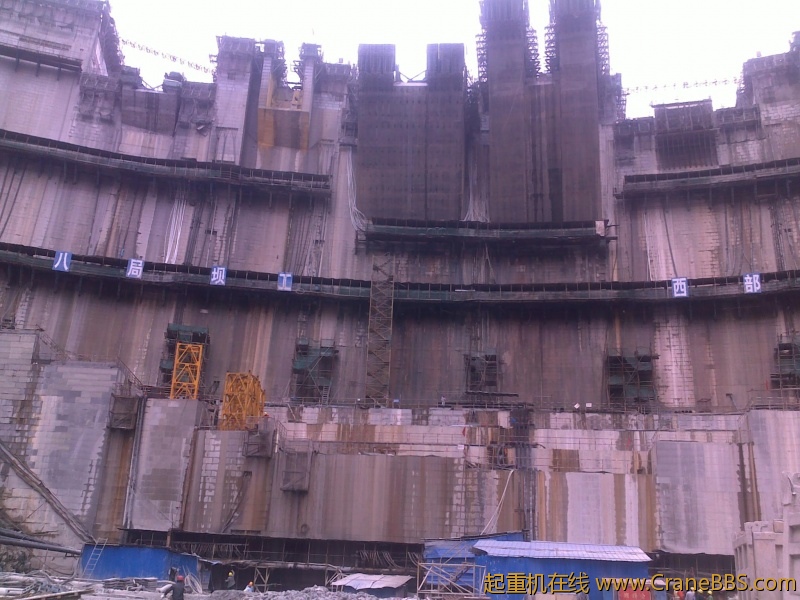 20101118068.jpg