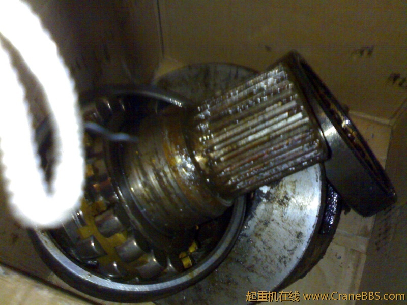 20110111197.jpg