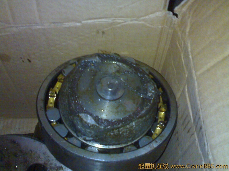 20110111202.jpg