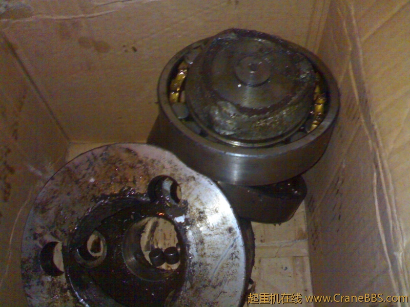 20110111203.jpg