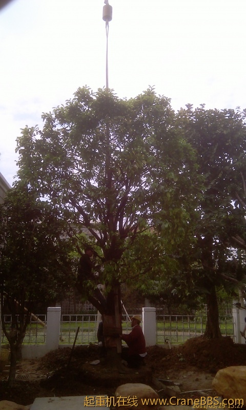 IMAG0080.jpg
