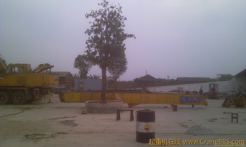 IMAG0083.jpg