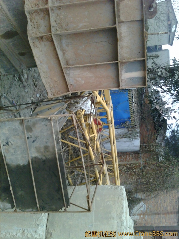 20110208180940.jpg