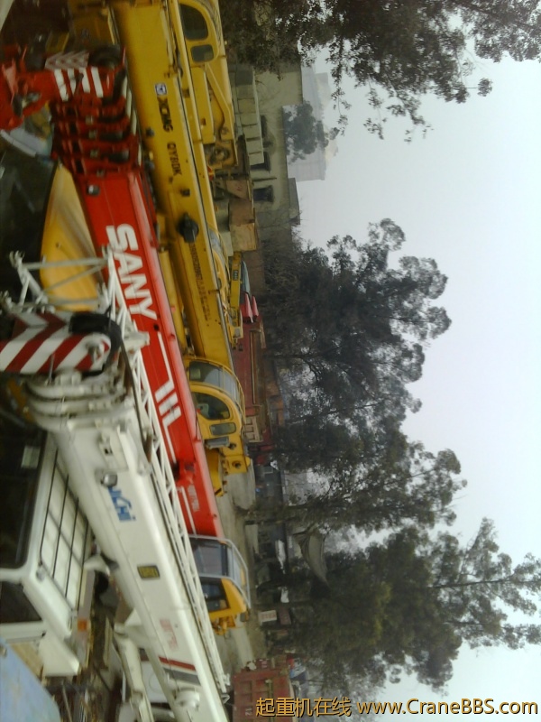 20110208182028.jpg