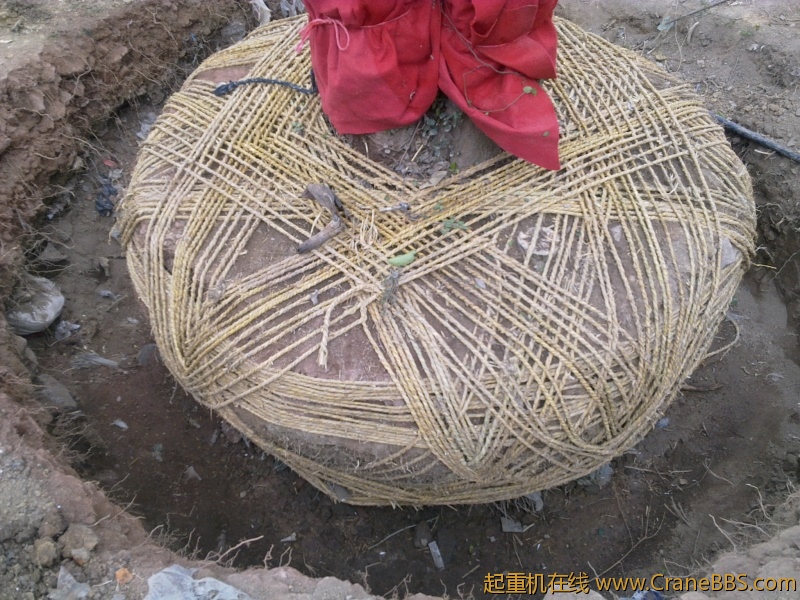 20110318450.jpg