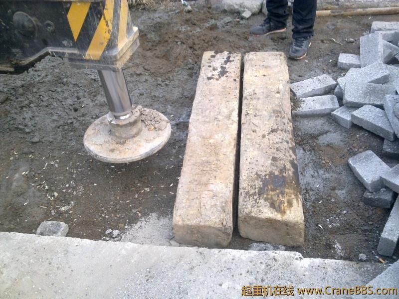 20110324480.jpg