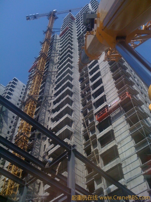 手机照片 1447.jpg