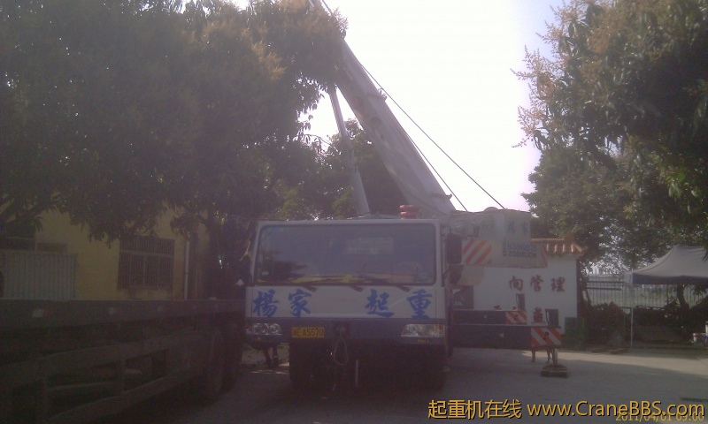 IMAG0091.jpg