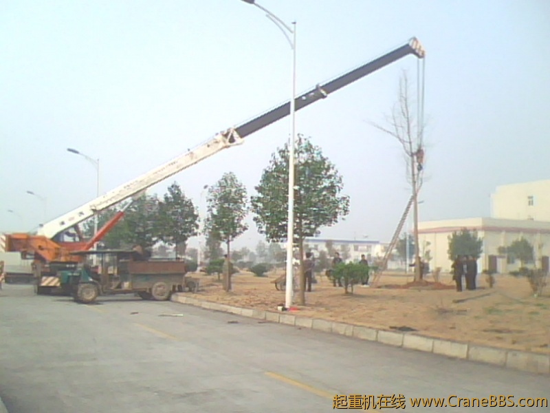 IMG0277A.jpg