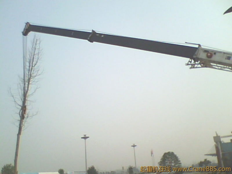 IMG0280A.jpg