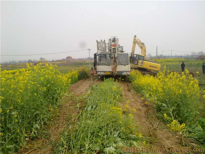 20110401426_副本.jpg