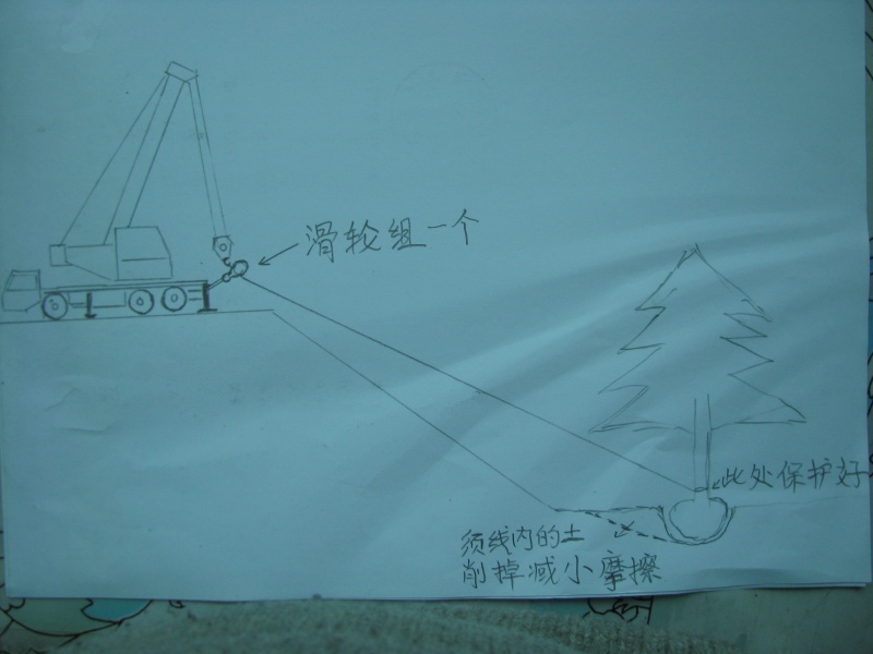 照片.jpg