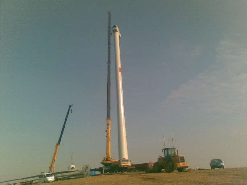 20101111(002).jpg