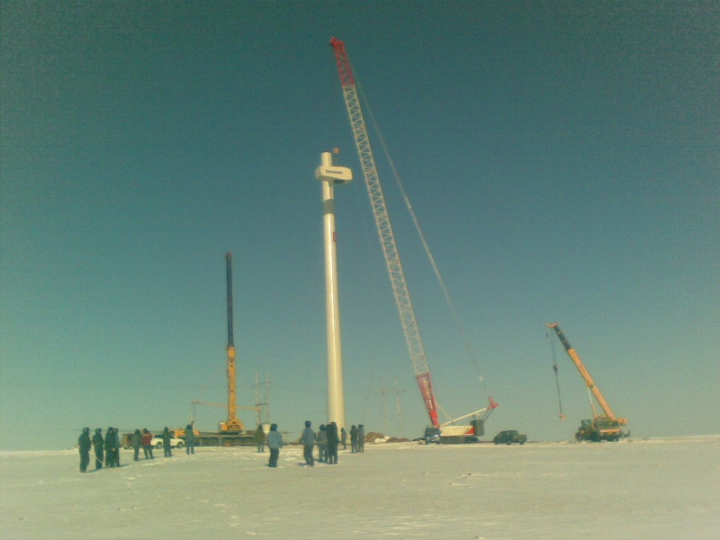 20101114.jpg