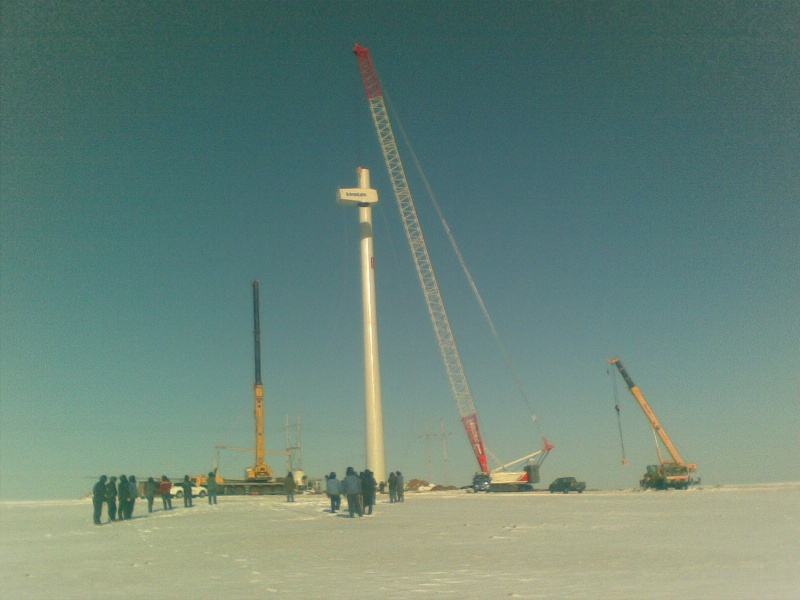 20101114(001).jpg