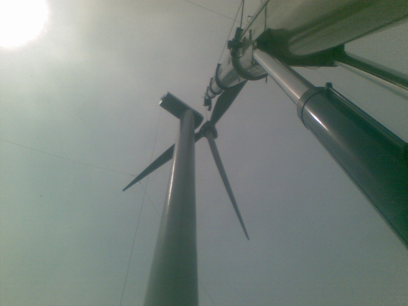 20110406.jpg