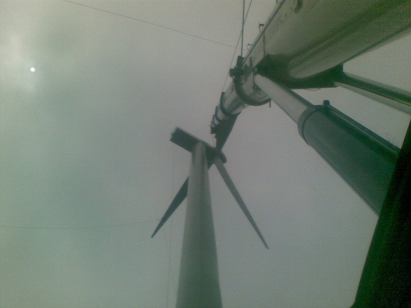20110406(005).jpg