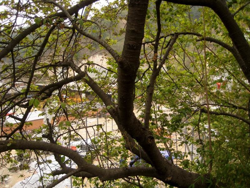 调整大小 重新曝光 IMG_1162.JPG