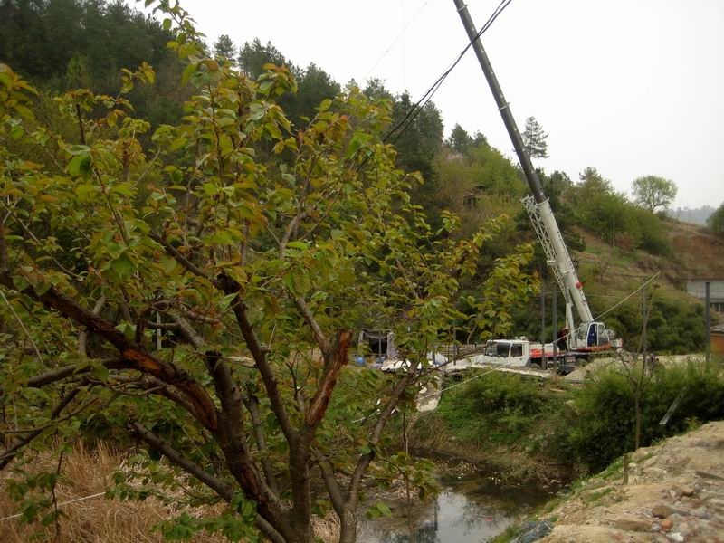 调整大小 重新曝光 IMG_1180.JPG
