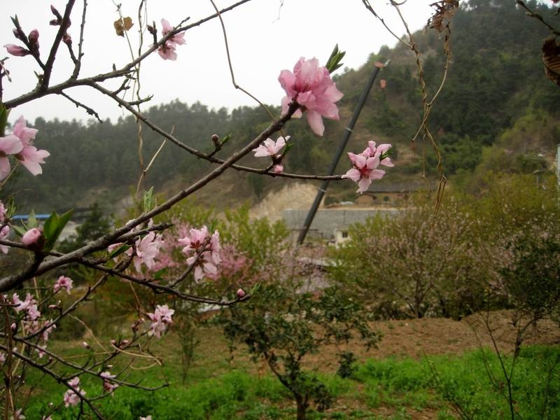 调整大小 重新曝光 IMG_1116.JPG