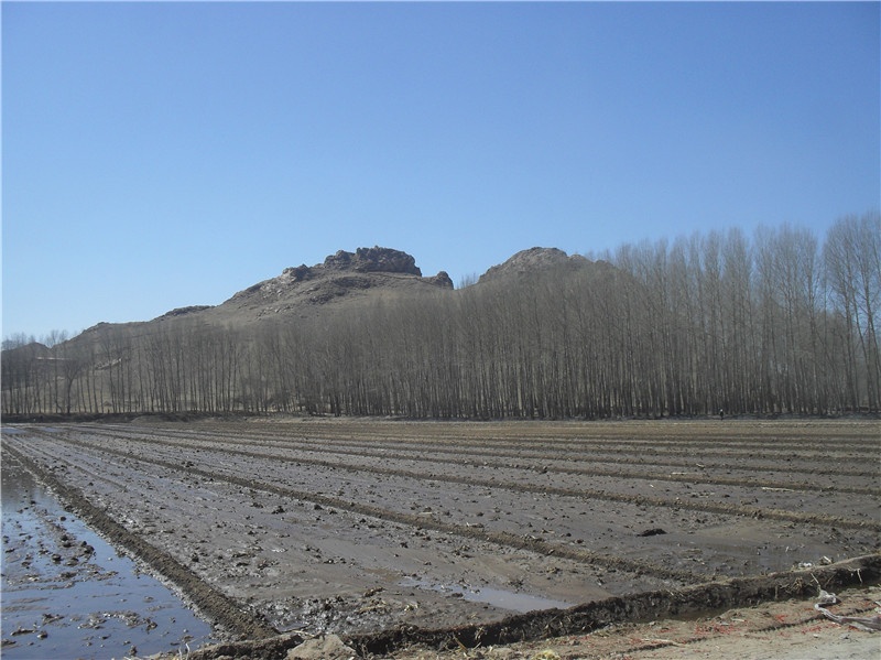 赤峰的小山，对于从小在城市中长大的我很少见到。
