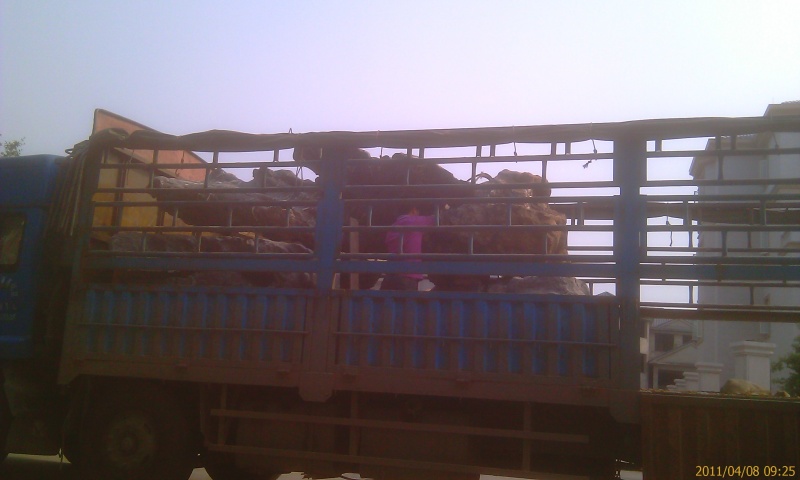 IMAG0109.jpg