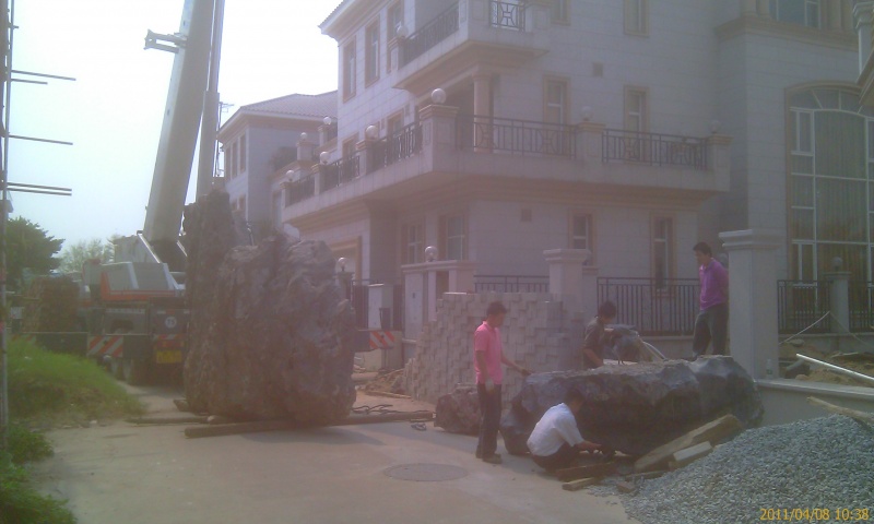 IMAG0113.jpg