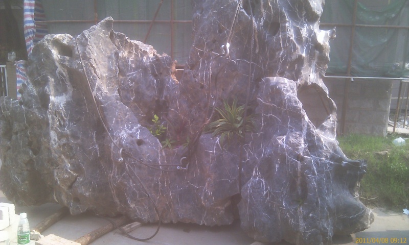 IMAG0105.jpg