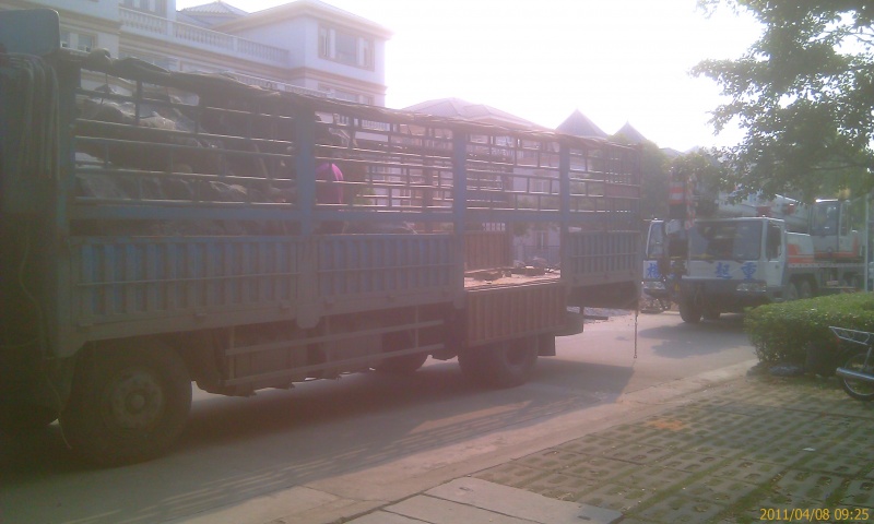 IMAG0108.jpg