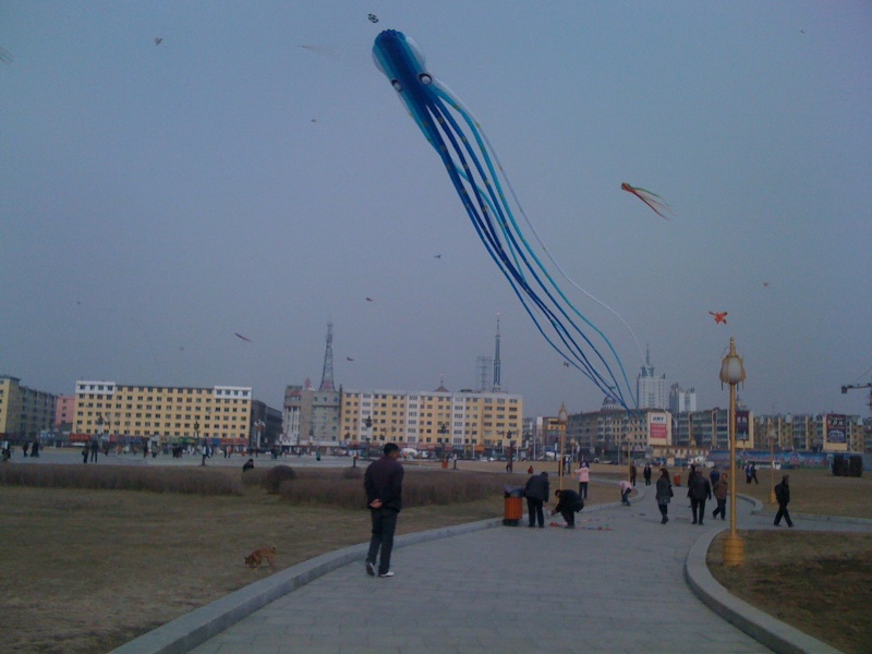 手机照片 1493.jpg