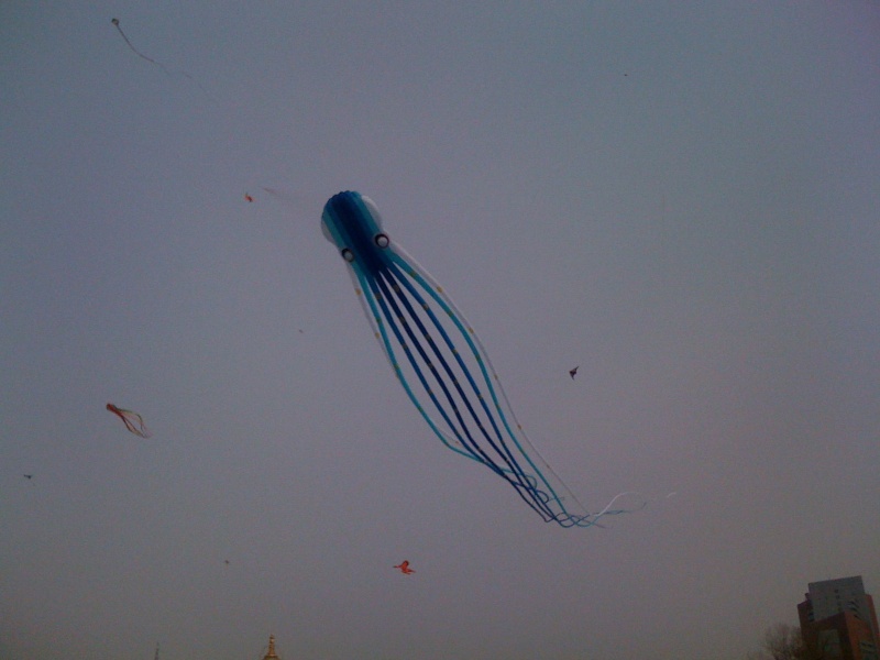 手机照片 1504.jpg