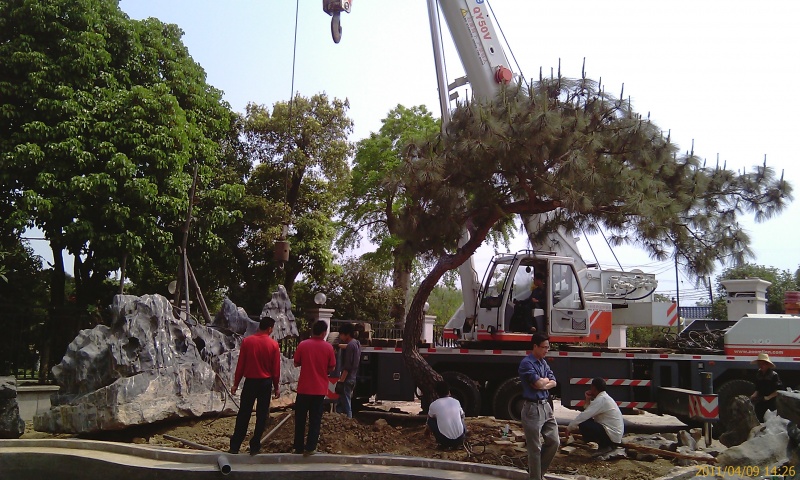 IMAG0115.jpg