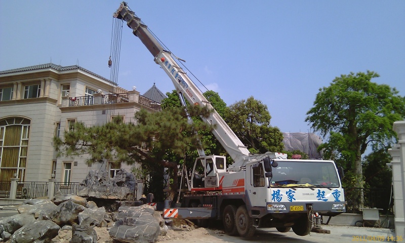 IMAG0124.jpg