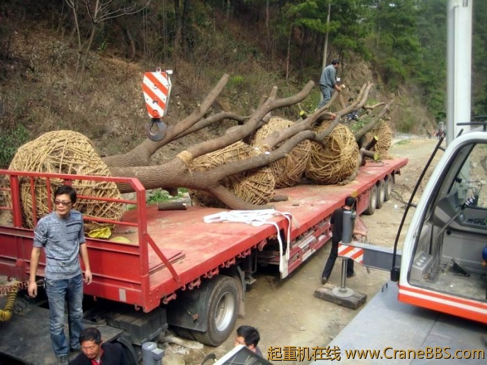 调整大小 IMG_1220.JPG