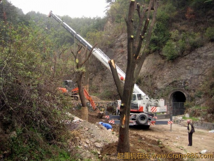 调整大小 IMG_1229.JPG