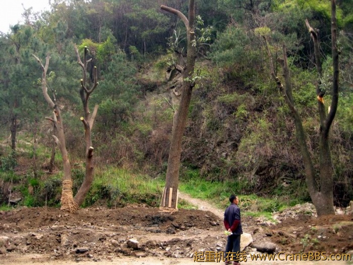 调整大小 IMG_1233.JPG