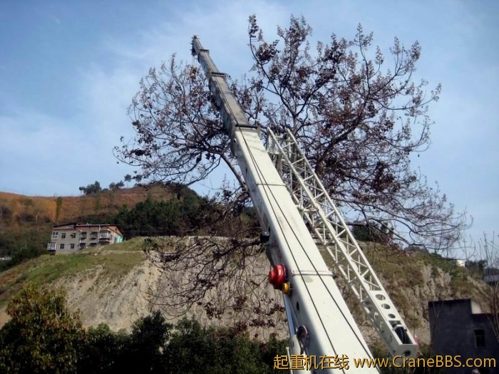 调整大小 IMG_1352.JPG