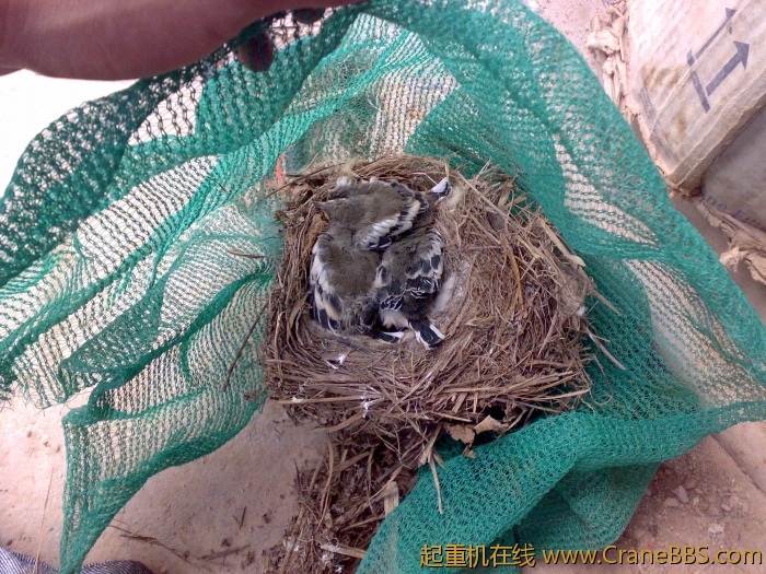 20110412933.jpg