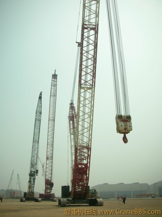 DSCN4658.JPG