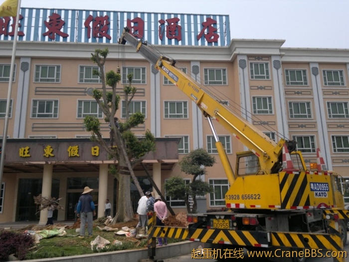 19.jpg