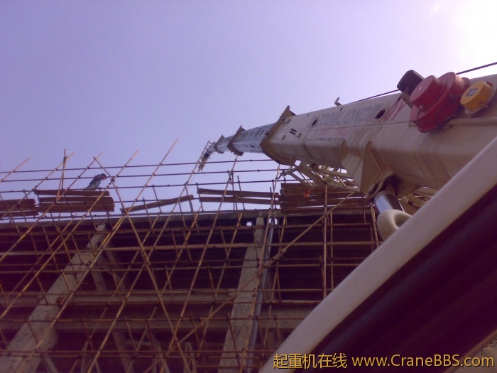20110414951.jpg
